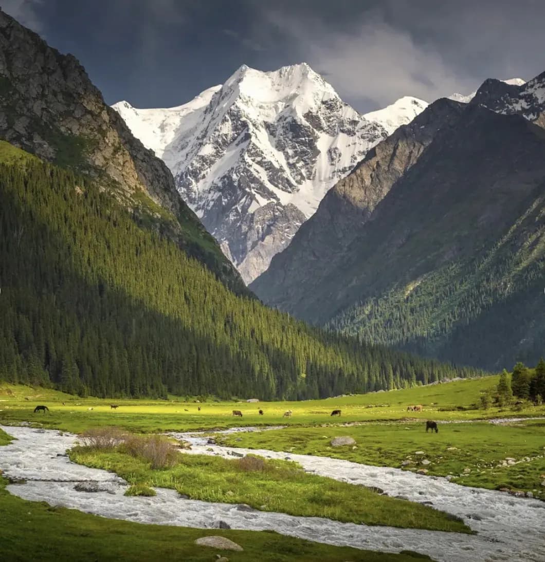Green mountain valley near Karakol